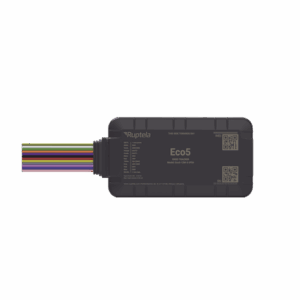 eco5 p.png