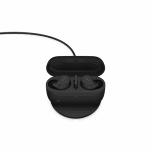 evolve2budsams p.png