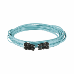 fz2erlnlnsnm001 p.png