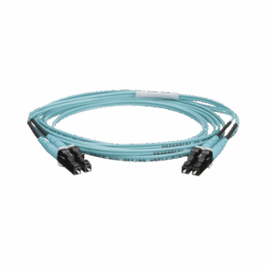 fz2erlnlnsnm002 p.png