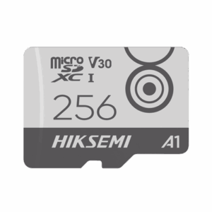 hstfm1 256g p.png