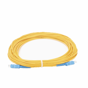 lpsm3scuscus10 p.png