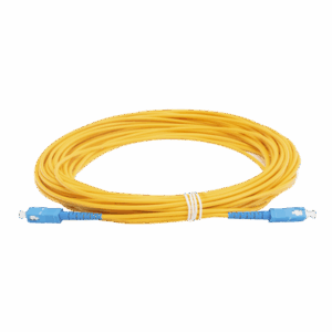 lpsm3scuscus15 p.png