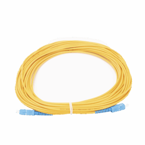 lpsm3scuscus20 p.png