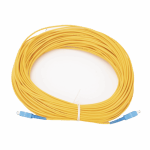 lpsm3scuscus40 p.png