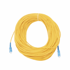 lpsm3scuscus60 p.png