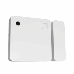 shellybludoorwinw p.png