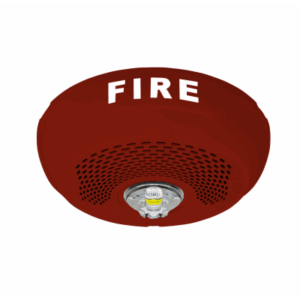 portada 0s400 441.png