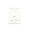 placa de pared modular 10g max de 2 salidas, color blanco