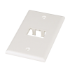 placa de pared vertical clásica, salida para 2 puertos mini com, color blanco mate