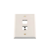 placa de pared vertical, de acero inoxidable, salida para 2 puertos mini com