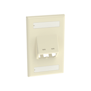 placa de pared vertical clásica, salida para 2 puertos mini com inclinados, con espacios para etiquetas, color marfil