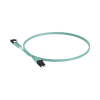jumper de fibra optica multimodo 50/125 om3, lc lc duplex, ofnr (riser), color aqua, 5 metros