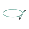 jumper de fibra optica multimodo 50/125 om3, lc lc duplex, ofnr (riser), color aqua, 5 metros
