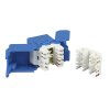 módulo jack keystone cat6a (toolless), con terminación en ángulo 180 º color azul, compatible con faceplate y patchpanel linkedpro