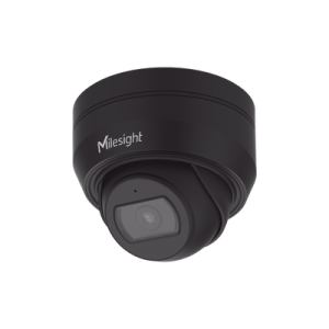 cámara dome de red motorizada ai / compresión h.265+ / resolución 4k 30fps / lente motorizada / protección ip67 ik10 / almacenamiento 256gb microsd