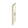 placa de pared vertical, salida para 2 puertos keystone, color marfil