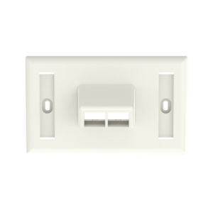 placa de pared horizontal, salida para 2 puertos keystone, con espacios para etiquetas, color blanco mate