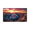 pantalla profesional led de 65", uhd 4k (3840x2160p), entradas de video hdmi/displayport, bocinas integradas de 10 w. compatible vesa. modo de simulación dicom