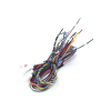 juego de cables de conexion para biostation 2