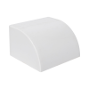 tapa final en color blanco de pvc auto extinguible, para canaleta tmk 4577 (5560 02001)