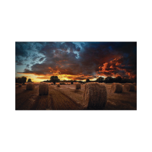 pantalla profesional led de 55" para video wall, full hd (1080p), hdmi/dvi d/dp, bisel ultra delgado de 2.3mm. compatible vesa