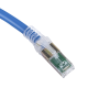 patch cord z max cat6a utp, cm, 7ft, color azul, versión bulk (sin empaque individual)