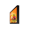 pantalla profesional led 24" para exterior protección para exterior 3t / full hd (1080p) / hdmi / lan / brillo 1500 cd/m2 / compatible con montaje vesa