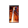 pantalla dual profesional / 55" full hd (1920x1080) / panel va / brillo exterior 3.000 nits / interior 1.000 nits / conectividad hdmi, usb, wi fi / sistema operativo tizen 5