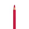 colores bic evolution largos mina gruesa 4mm c/24 pzas