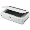 escaner epson b11b257201 expresion 13000xl
