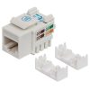 jack intellinet cat 6 de impacto(keystone) color blanco