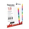 separador nextep economico 15 divisiones con numero