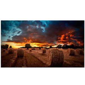 pantalla samsung 46" video wall vw fhd resolución 1920x1080 tizen 4.0