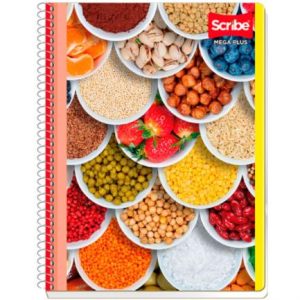 cuaderno scribe profesional mega c5 100 hojas